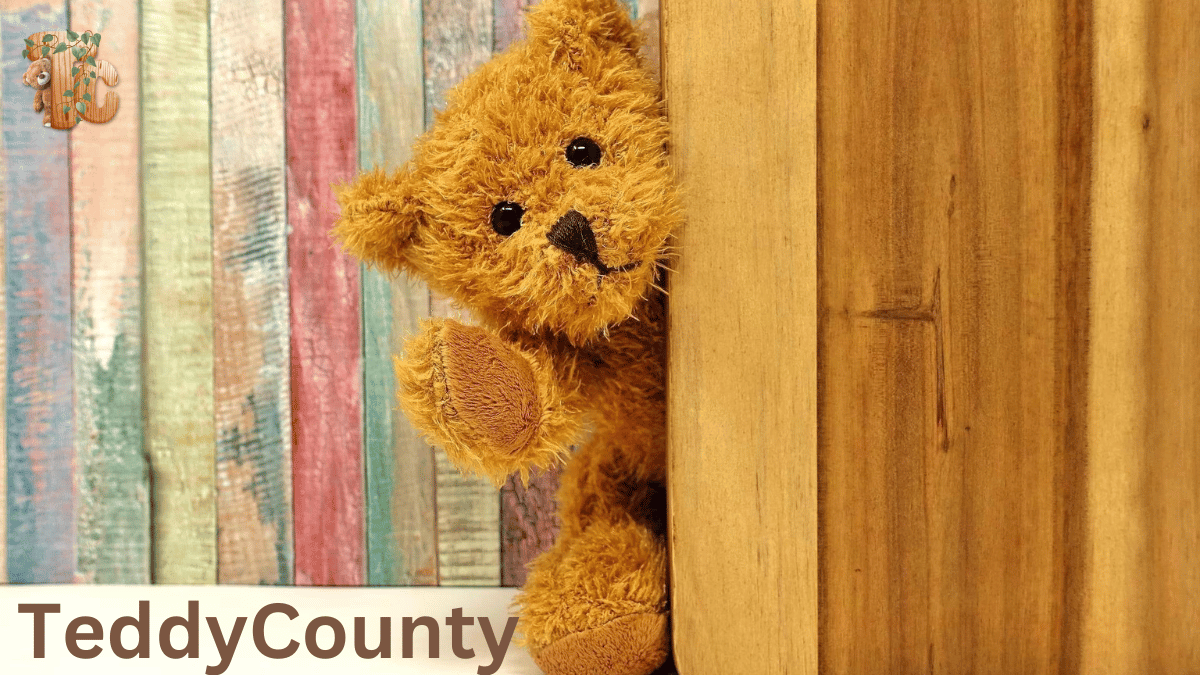 County Teddy